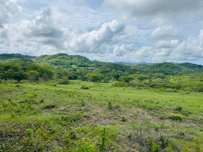 Terreno para desarrollo en Tamarindo: 32 hectáreas con plan maestro de 57 unidades. - Imagen 3