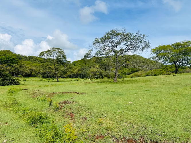 Terreno para desarrollo en Tamarindo: 32 hectáreas con plan maestro de 57 unidades. - Imagen 2
