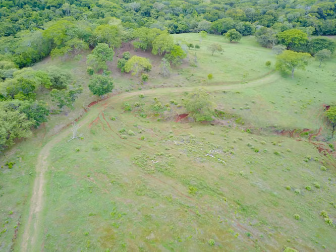 Terreno para desarrollo en Tamarindo: 32 hectáreas con plan maestro de 57 unidades. - Imagen 16
