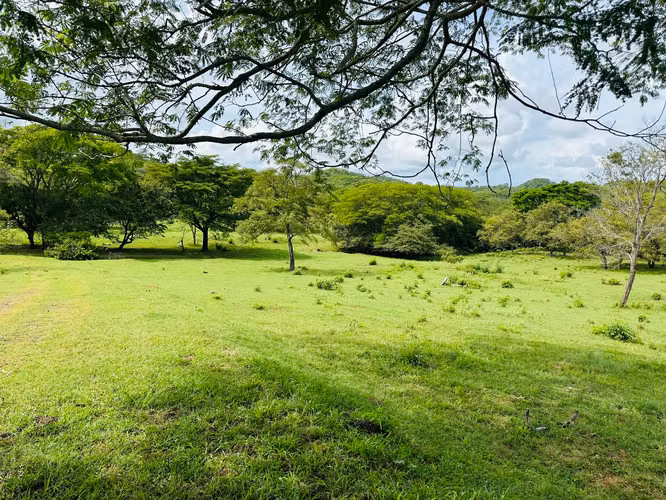 Terreno para desarrollo en Tamarindo: 32 hectáreas con plan maestro de 57 unidades. - Imagen 19