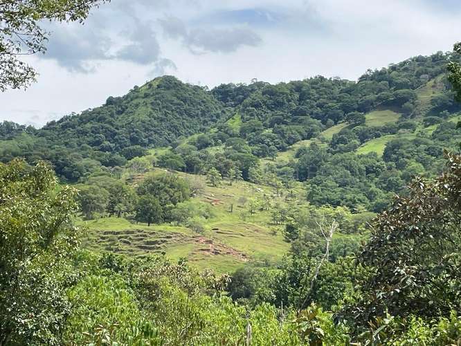 VENTA DE HERMOSA FINCA EN GUAITIL ACOSTA