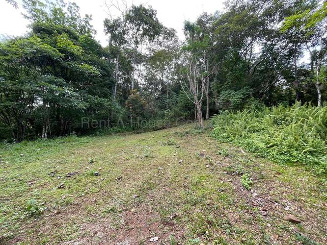 VENTA DE HERMOSA FINCA EN GUAITIL ACOSTA