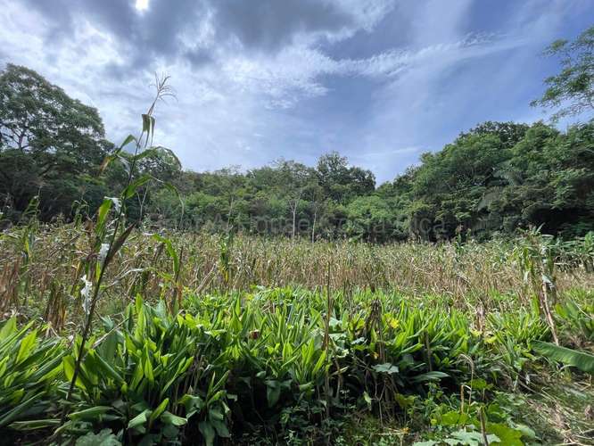 VENTA DE HERMOSA FINCA EN GUAITIL ACOSTA
