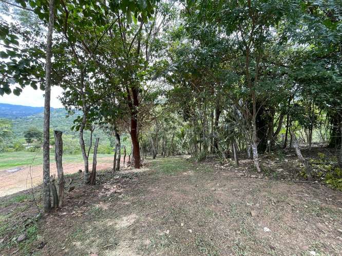 VENTA DE HERMOSA FINCA EN GUAITIL ACOSTA