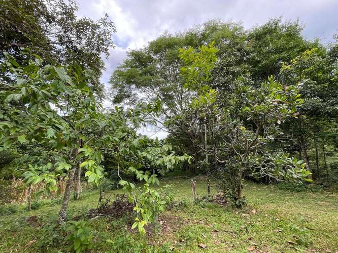 VENTA DE HERMOSA FINCA EN GUAITIL ACOSTA