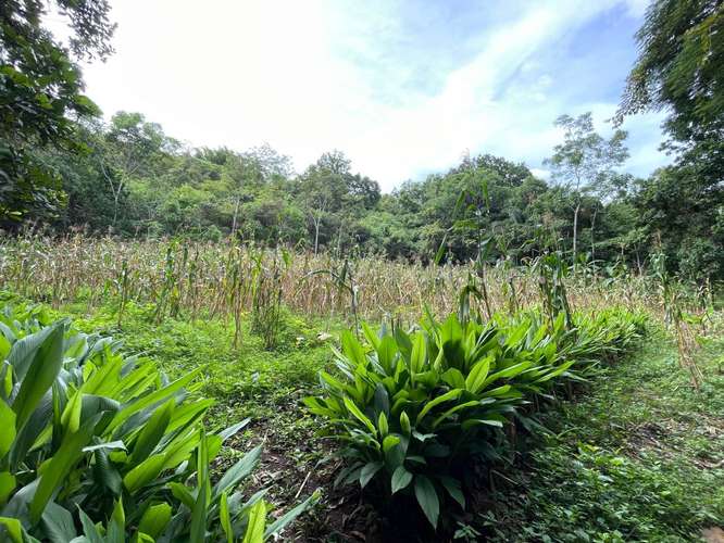 VENTA DE HERMOSA FINCA EN GUAITIL ACOSTA