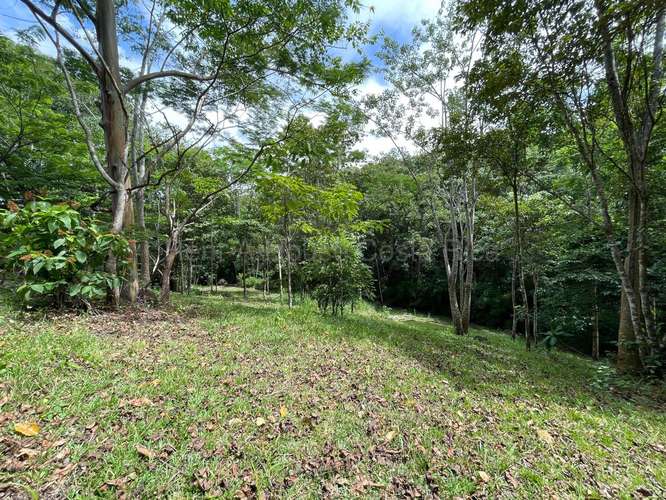 VENTA DE HERMOSA FINCA EN GUAITIL ACOSTA