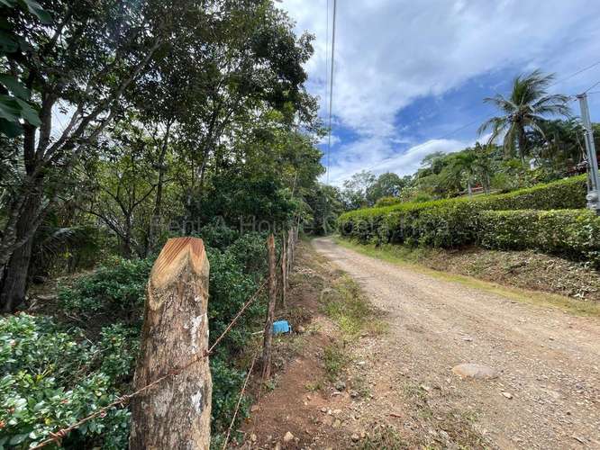 VENTA DE HERMOSA FINCA EN GUAITIL ACOSTA