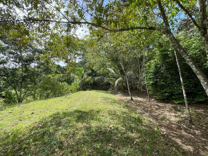 VENTA DE HERMOSA FINCA EN GUAITIL ACOSTA