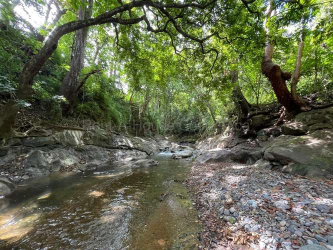 VENTA DE HERMOSA FINCA EN GUAITIL ACOSTA