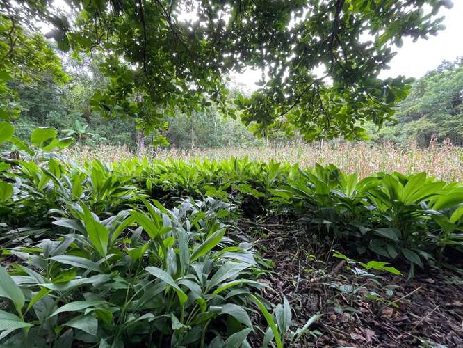 VENTA DE HERMOSA FINCA EN GUAITIL ACOSTA