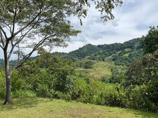 VENTA DE HERMOSA FINCA EN GUAITIL ACOSTA