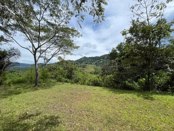 SALE OF BEAUTIFUL ESTATE IN GUAITIL ACOSTA