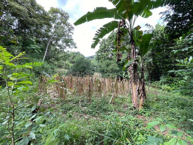 VENTA DE HERMOSA FINCA EN GUAITIL ACOSTA