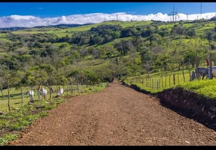 Lote 29 · Lotes & Quintas · Tilarán, Guanacaste - Imagen 10