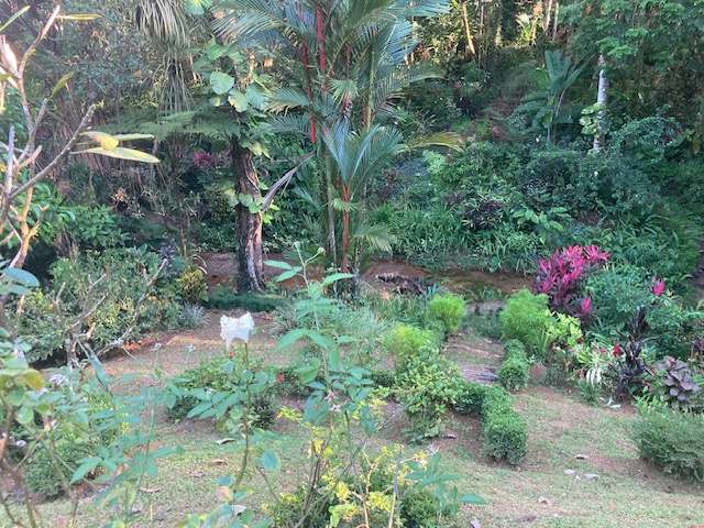 Casa con jardin botanico en Ojochal de Osa , Playa Tortuga.