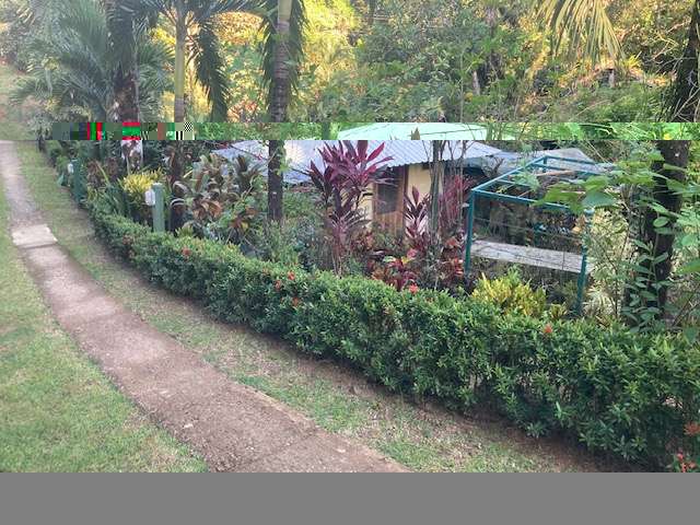 Casa con jardin botanico en Ojochal de Osa , Playa Tortuga.