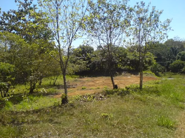 Oportunidad!! Venta de lote en Playa Esterillos - Imagen 5