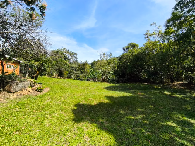 Se vende terreno con cafetal variedad arábico y geisha - Imagen 3