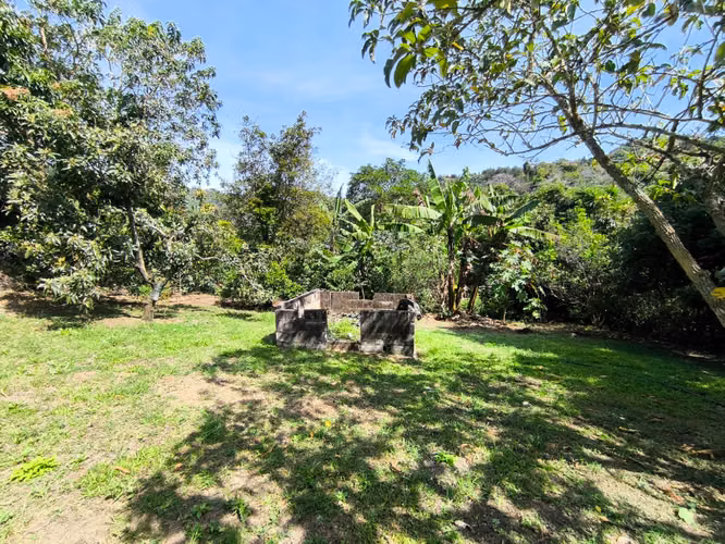 Se vende terreno con cafetal variedad arábico y geisha - Imagen 4