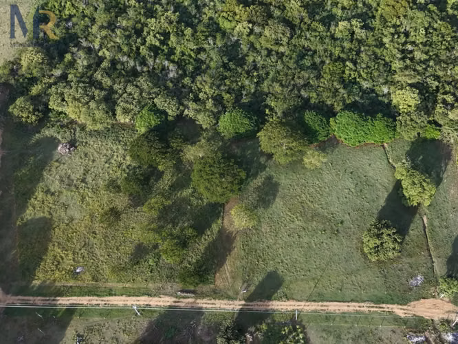 TERRENO EN VENTA LA CRUZ GUANACASTE CERCA DEL MAR  - Imagen 7
