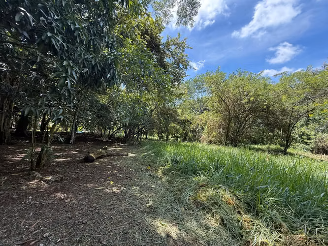 OPORTUNIDAD EN ATENAS  VENTA DE LOTE| 8.710 m² | USO DE SUELO MIXTO