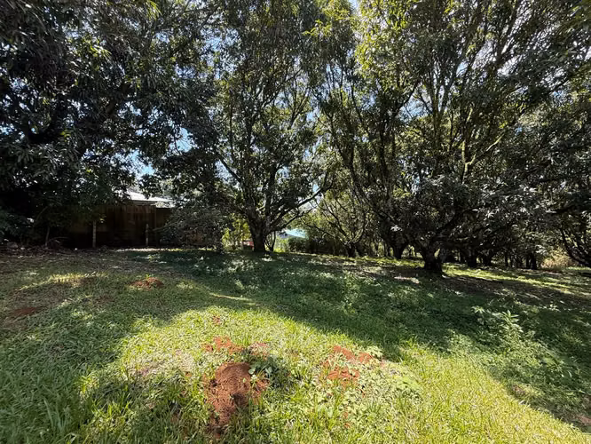 OPORTUNIDAD EN ATENAS  VENTA DE LOTE| 8.710 m² | USO DE SUELO MIXTO