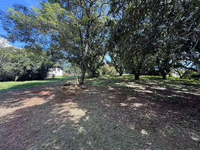 OPORTUNIDAD EN ATENAS  VENTA DE LOTE| 8.710 m² | USO DE SUELO MIXTO