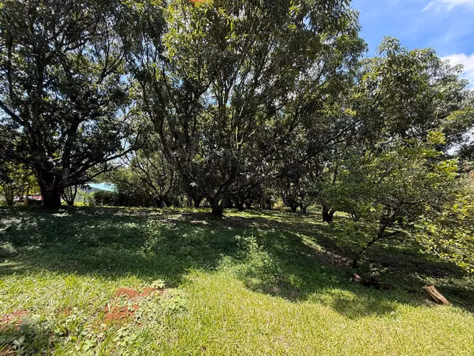 OPORTUNIDAD EN ATENAS  VENTA DE LOTE| 8.710 m² | USO DE SUELO MIXTO