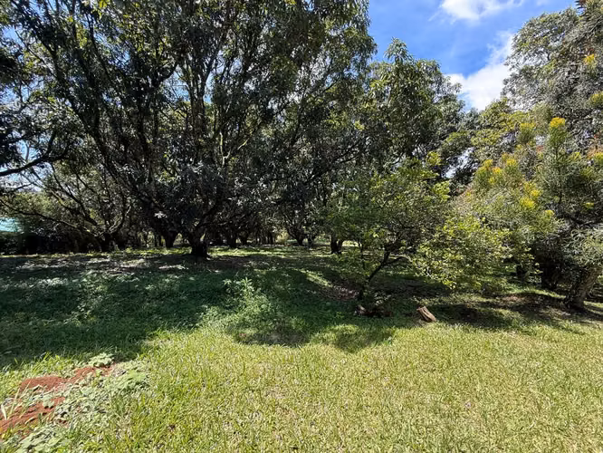 OPORTUNIDAD EN ATENAS  VENTA DE LOTE| 8.710 m² | USO DE SUELO MIXTO