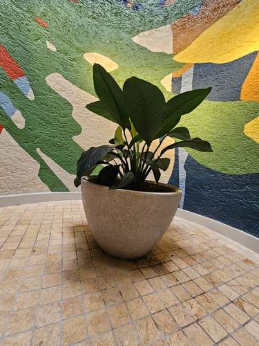 ALQUILO LOFT CON LINEA BLANCA/ LOS YOSES - Imagen 5