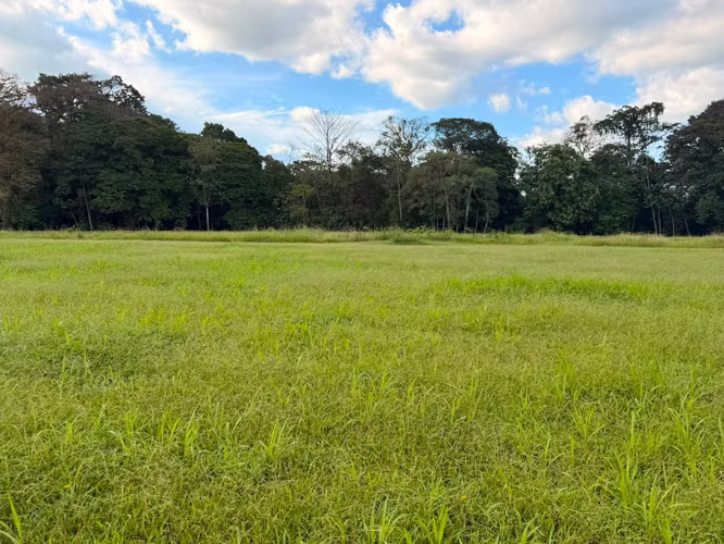 Lote exclusivo en venta con vista al Volcán Arenal, San Carlos - Imagen 6