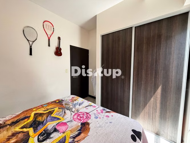 Alquiler de Apartamento Amueblado. 2 hab. Vía della Universitá, San Pedro