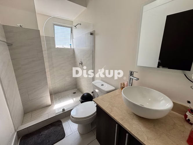 Alquiler de Apartamento Amueblado. 2 hab. Vía della Universitá, San Pedro