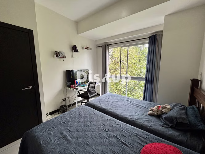 Alquiler de Apartamento Amueblado. 2 hab. Vía della Universitá, San Pedro