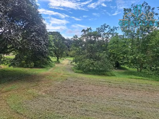 Venta de Terreno en Sarapiquí, 14,543m2 ID 2081 - Imagen 4