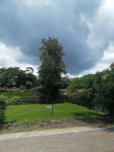 Beautiful Lot in Altabrisa Condo, 250 m2, fully flat, ready to build. Lot # 7.