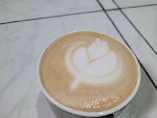 Cafetera compacta de espresso y cappuccino BVSTEM7200 Oster Perfecto estado