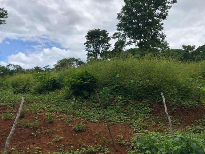 Lote Estratégico Tamarindo Guanacaste | Potencial Comercial Residencial