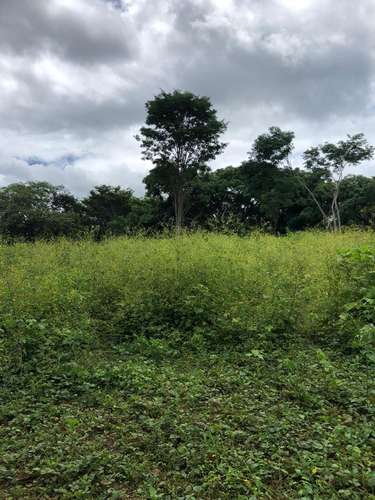 Lote Estratégico Tamarindo Guanacaste | Potencial Comercial Residencial