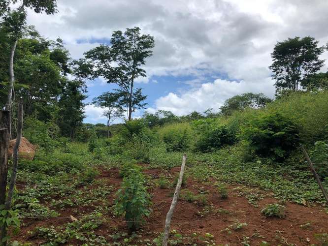 Lote Estratégico Tamarindo Guanacaste | Potencial Comercial Residencial
