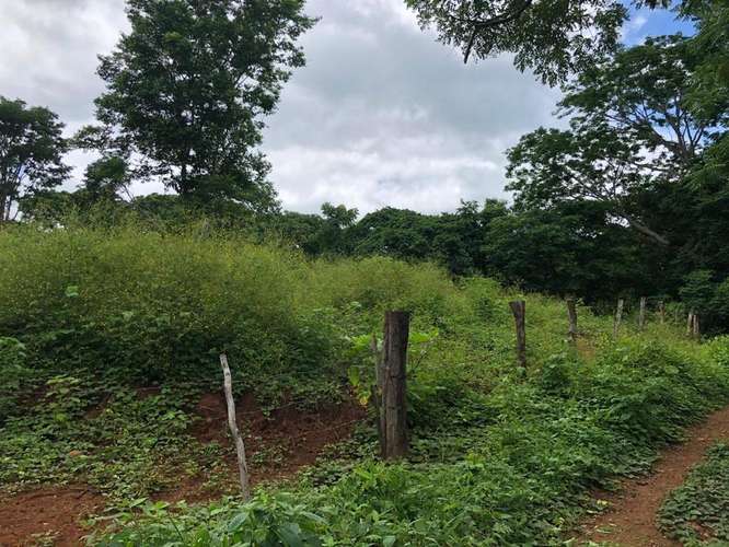 Lote Estratégico Tamarindo Guanacaste | Potencial Comercial Residencial