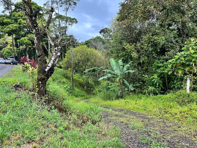 Venta de Lote en San Isidro de Peñas Blancas de San Ramón.  - Imagen 13