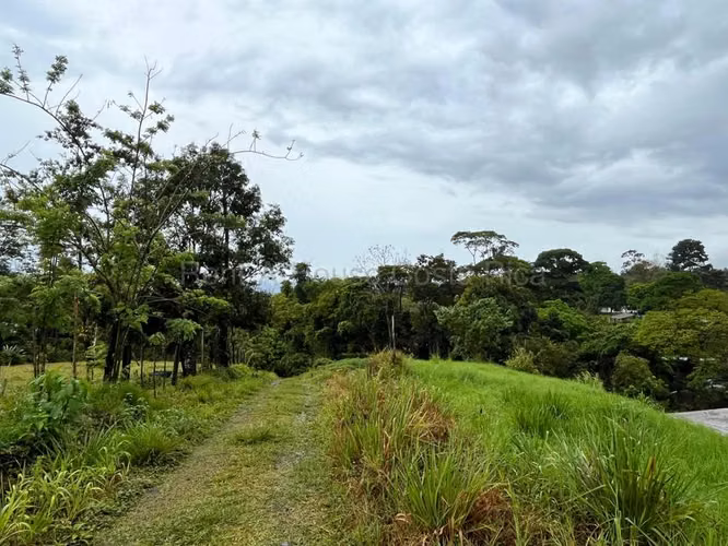Venta de Lote en San Isidro de Peñas Blancas de San Ramón.  - Imagen 10