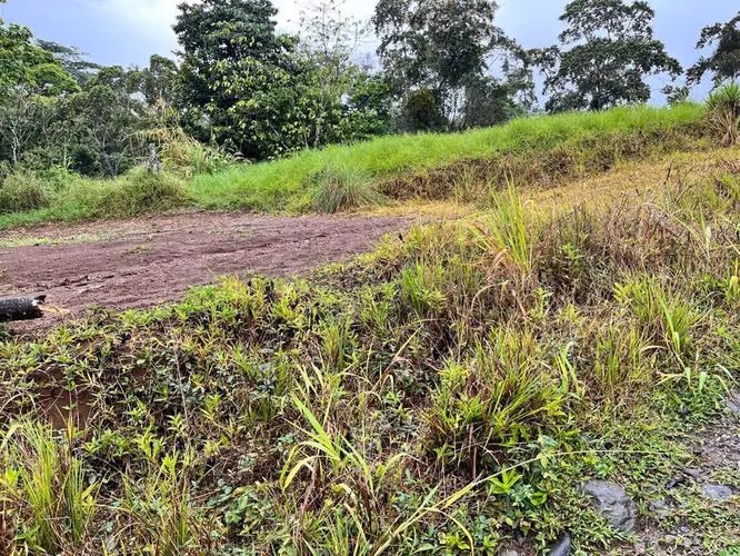 Venta de Lote en San Isidro de Peñas Blancas de San Ramón.  - Imagen 3