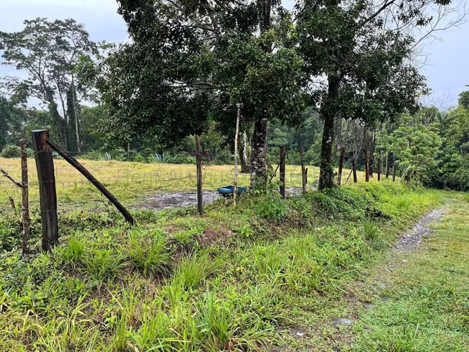 Venta de Lote en San Isidro de Peñas Blancas de San Ramón.  - Imagen 5