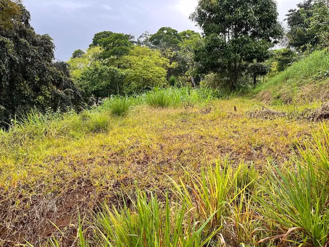 Venta de Lote en San Isidro de Peñas Blancas de San Ramón.  - Imagen 2
