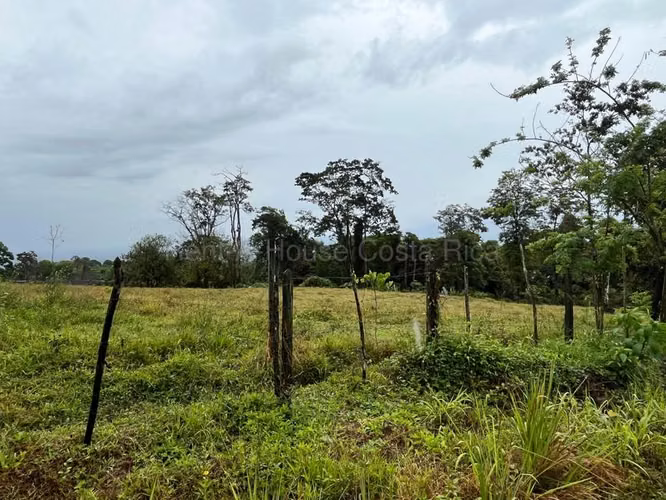 Venta de Lote en San Isidro de Peñas Blancas de San Ramón.  - Imagen 11