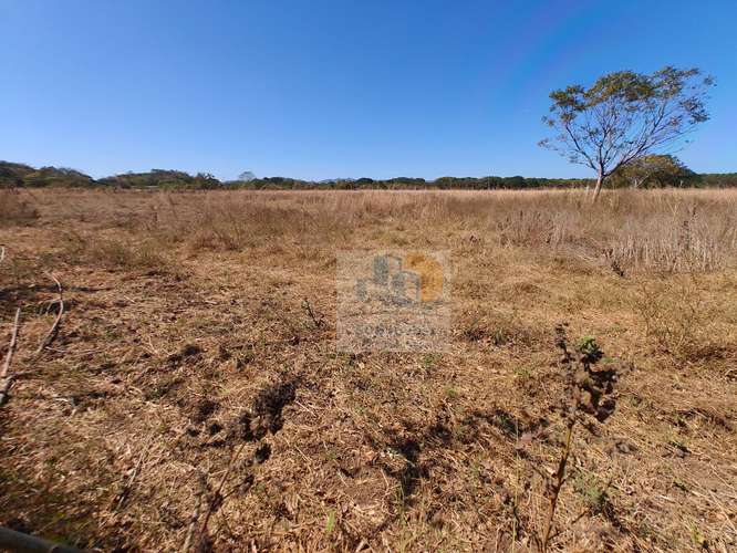 Lotes de 10,000 m² en Venta Cerca del Aeropuerto de Liberia, Guanacaste - Imagen 6