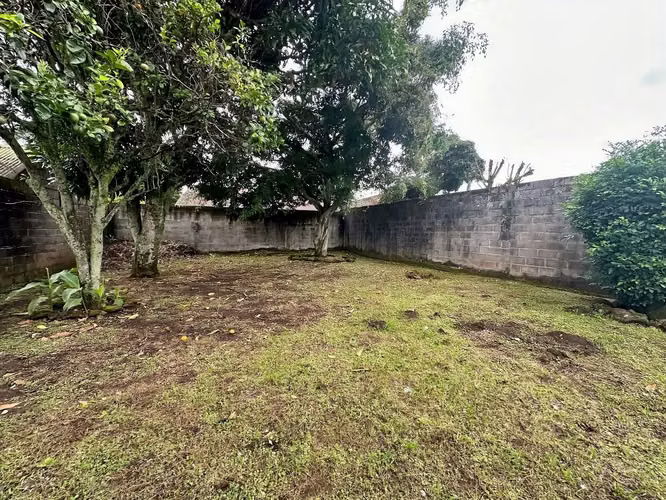 Propiedad Comercial de 517 m2 en Venta | Guayabos de Curridabat - Uso Mixto - Imagen 4